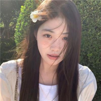 半山算法番外海报